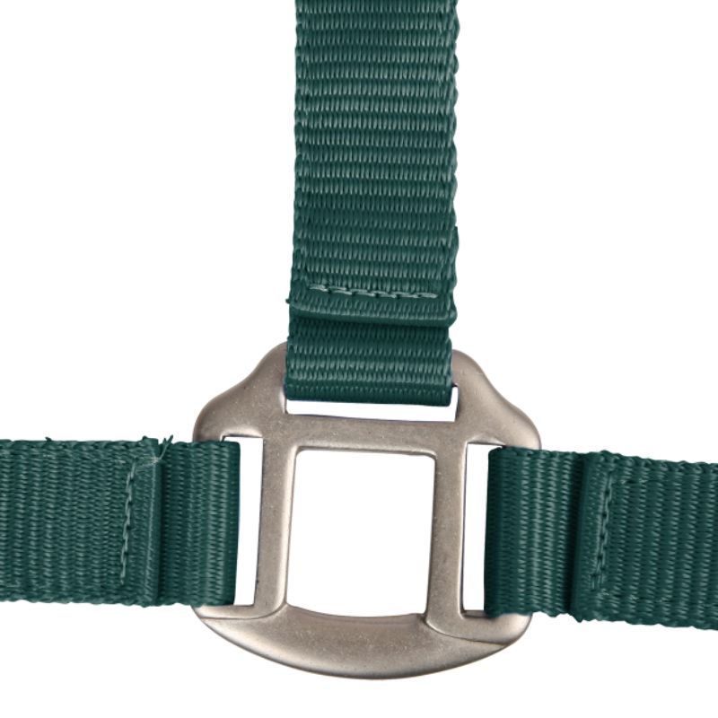 Licol cheval nylon doublé Satin Waldhausen vert sapin - Le Paturon