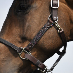 Licol cheval cuir Elegance Disco IHWT havane noir - Le Paturon