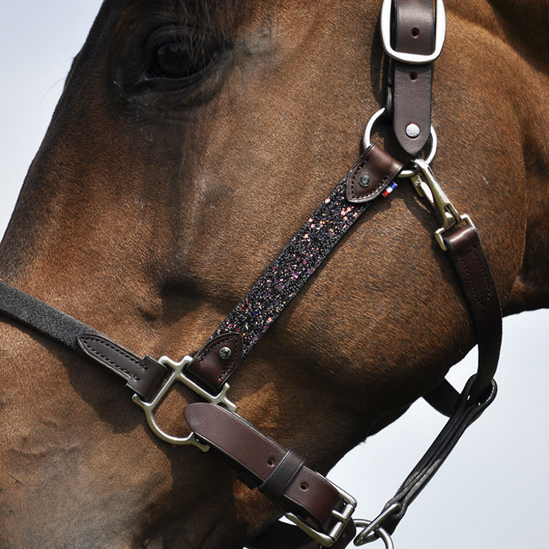 Licol cheval cuir Elegance Disco IHWT havane noir - Le Paturon