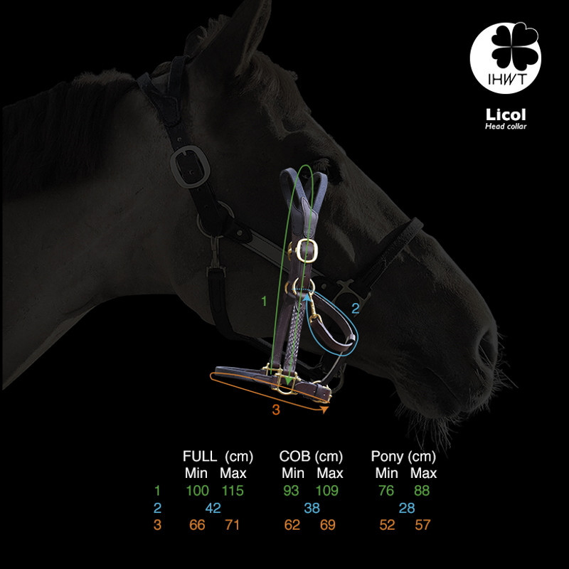Licol cheval cuir Elegance Disco IHWT - Le Paturon