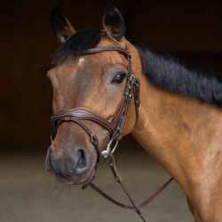 Bridon cheval cuir Wavy HFI Master marron - Le Paturon