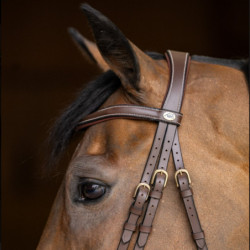 Bridon cheval cuir Wavy HFI Master marron - Le Paturon