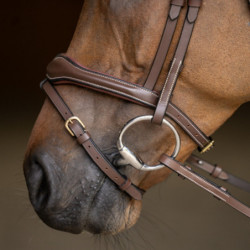 Bridon cheval cuir Wavy HFI Master marron - Le Paturon