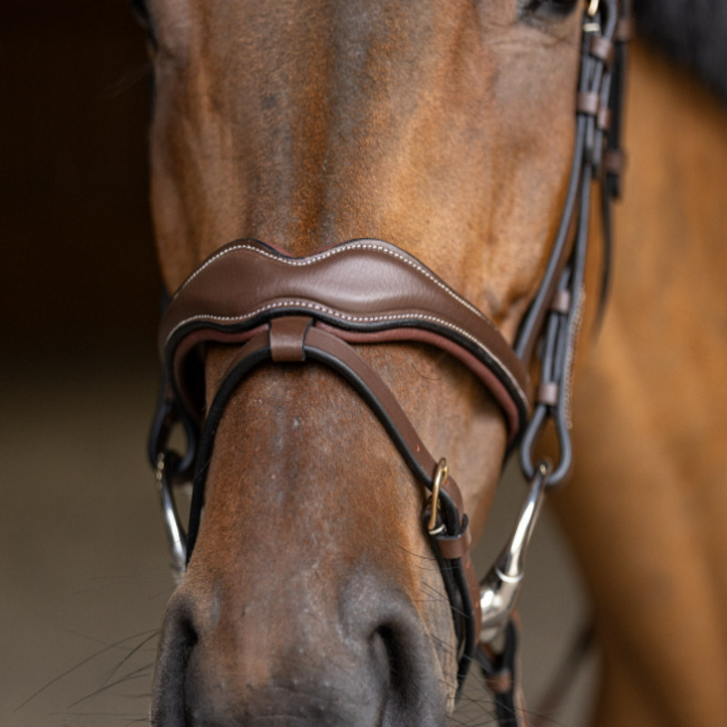Bridon cheval cuir Wavy HFI Master marron - Le Paturon