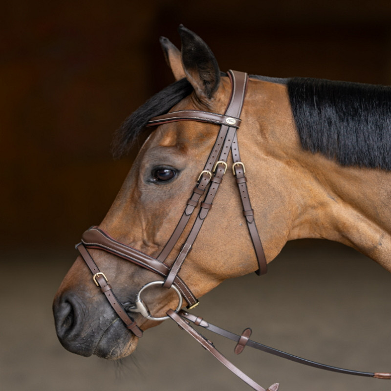 Bridon cheval cuir Wavy HFI Master marron - Le Paturon