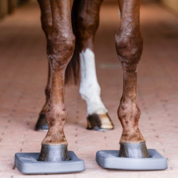 Semelles proprioception cheval Health + Care Balance Waldhausen gris - Le Paturon