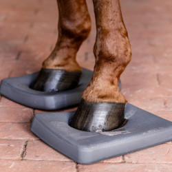 Semelles proprioception cheval Health + Care Balance Waldhausen gris - Le Paturon
