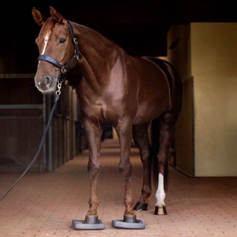 Semelles proprioception cheval Health + Care Balance Waldhausen gris - Le Paturon