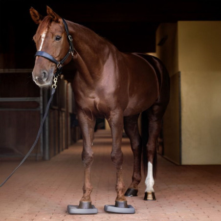 Semelles proprioception cheval Health + Care Balance Waldhausen gris - Le Paturon