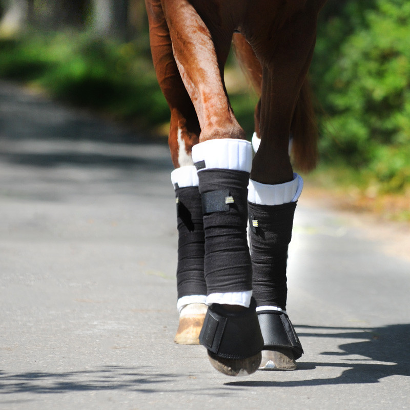 Sous-bandes cheval respirantes Climatex Kavalkade blanc - Le Paturon