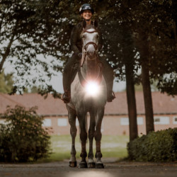 Collier de chasse cheval lampe Horselight Kavalkade noir - Le Paturon