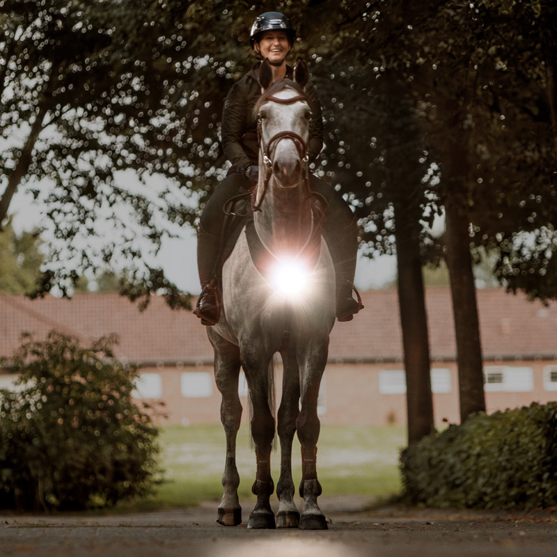 Collier de chasse cheval lampe Horselight Kavalkade noir - Le Paturon