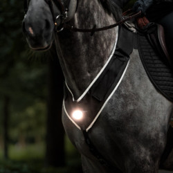 Collier de chasse cheval lampe Horselight Kavalkade noir - Le Paturon