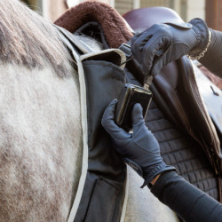 Collier de chasse cheval lampe Horselight Kavalkade noir - Le Paturon