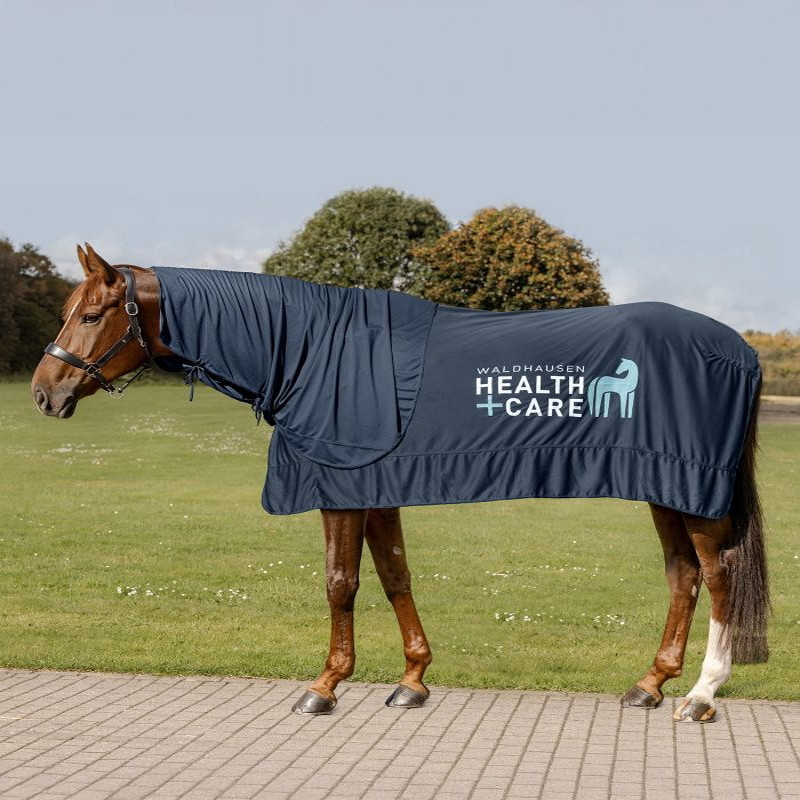 Couvre-cou cheval rafraîchissant Health + Care Ice Layer Waldhausen noir - Le Paturon