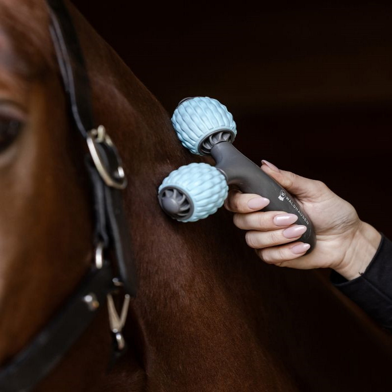 Rouleau massage cheval Health + Care Comfort Creator Waldhausen gris bleu clair - Le Paturon