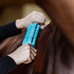 Rouleau massage cheval Health + Care Faszien Fit Waldhausen gris bleu clair - Le Paturon