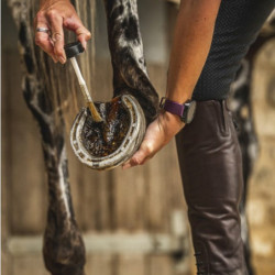 Cornucrescine Hoof Dressing Tea Tree Carr & Day & Martin - Huile sabot cheval arbre à thé 500ml - Le Paturon
