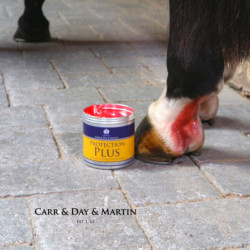 Protection Plus Carr & Day & Martin - Crème apaisante et protectrice plaie et gale de boue cheval 500ml - Le Paturon