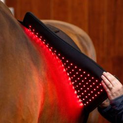 Tapis cheval thérapeutique luminothérapie LED Lumière Rouge Horseware noir - Le Paturon
