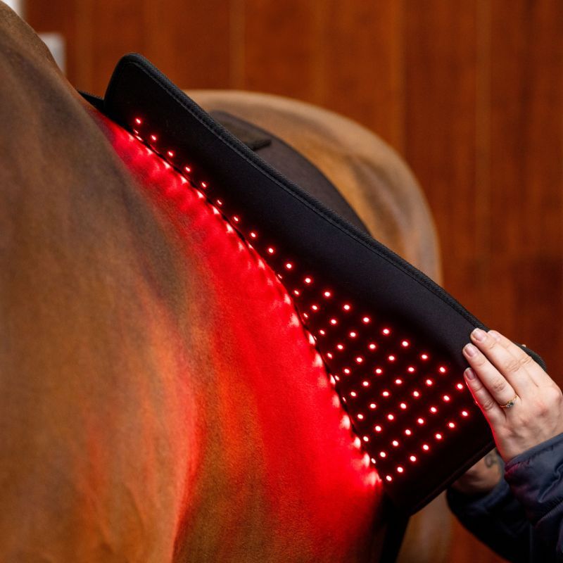 Tapis cheval thérapeutique luminothérapie LED Lumière Rouge Horseware noir - Le Paturon