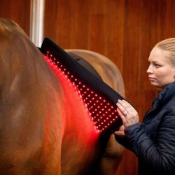 Tapis cheval thérapeutique luminothérapie LED Lumière Rouge Horseware noir - Le Paturon