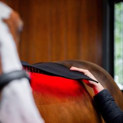 Tapis cheval thérapeutique luminothérapie LED Lumière Rouge Horseware noir - Le Paturon