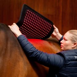 Tapis cheval thérapeutique luminothérapie LED Lumière Rouge Horseware noir - Le Paturon