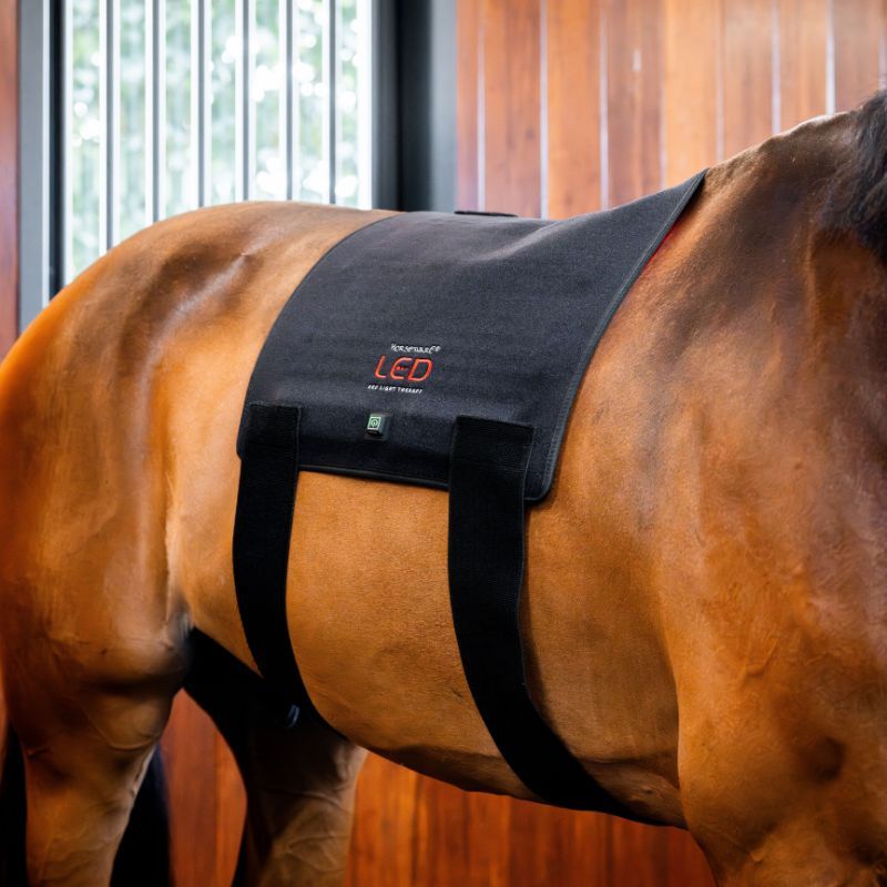 Tapis cheval thérapeutique luminothérapie LED Lumière Rouge Horseware noir - Le Paturon
