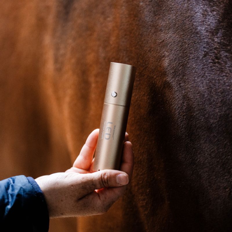 Stylo thérapeutique cheval luminothérapie LED Lumière Rouge Horseware - Le Paturon
