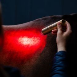 Stylo thérapeutique cheval luminothérapie LED Lumière Rouge Horseware - Le Paturon