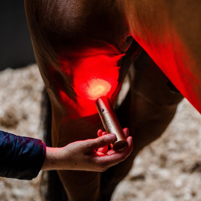Stylo thérapeutique cheval luminothérapie LED Lumière Rouge Horseware - Le Paturon