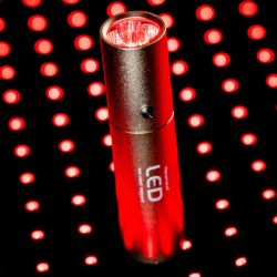Stylo thérapeutique cheval luminothérapie LED Lumière Rouge Horseware - Le Paturon