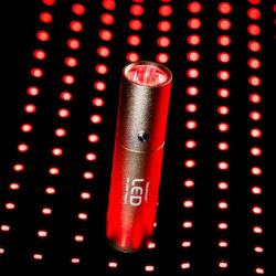 Stylo thérapeutique cheval luminothérapie LED Lumière Rouge Horseware - Le Paturon