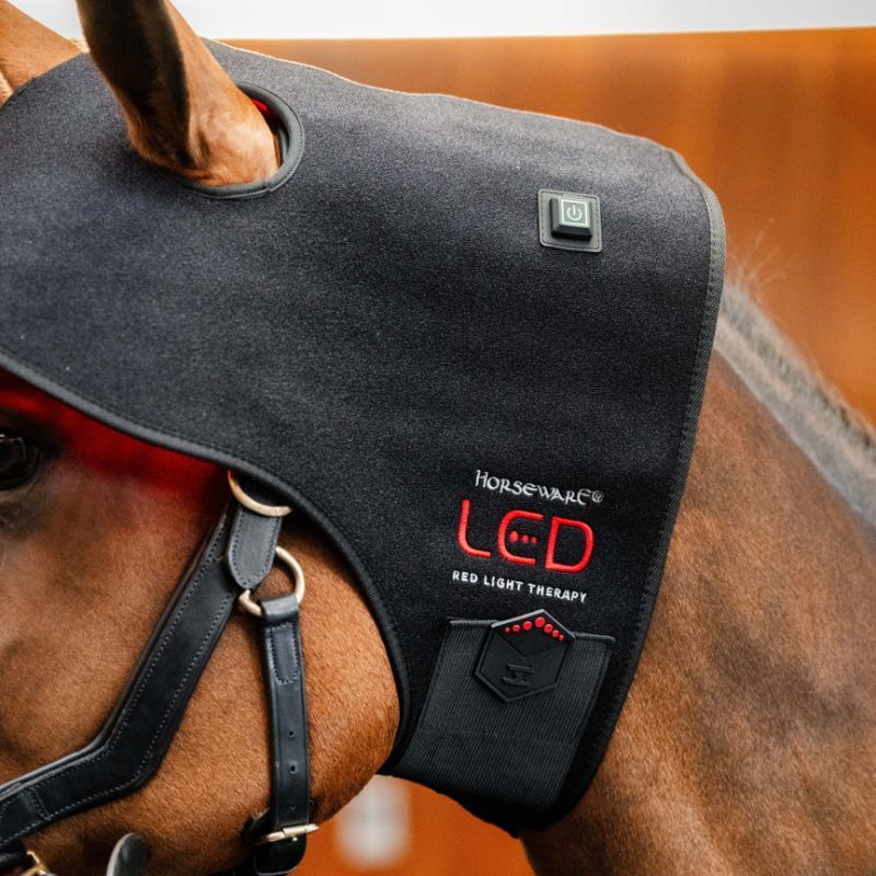 Bonnet cheval protège nuque thérapeutique luminothérapie LED Lumière Rouge Poll Cap Horseware noir - Le Paturon