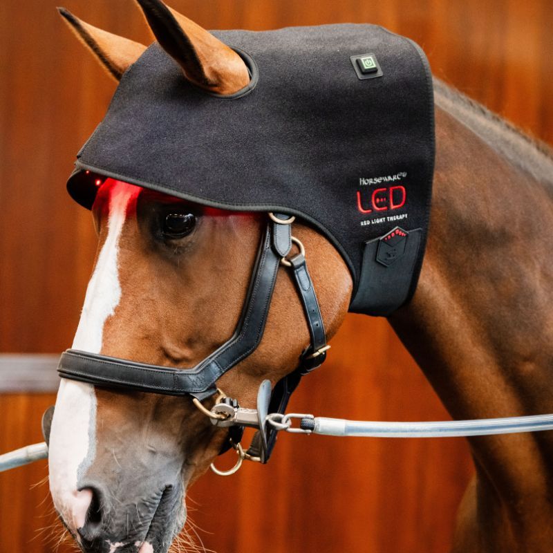 Bonnet cheval protège nuque thérapeutique luminothérapie LED Lumière Rouge Poll Cap Horseware noir - Le Paturon