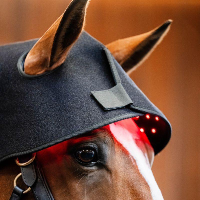 Bonnet cheval protège nuque thérapeutique luminothérapie LED Lumière Rouge Poll Cap Horseware noir - Le Paturon