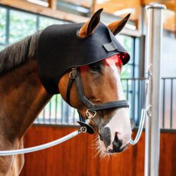 Bonnet cheval protège nuque thérapeutique luminothérapie LED Lumière Rouge Poll Cap Horseware noir - Le Paturon