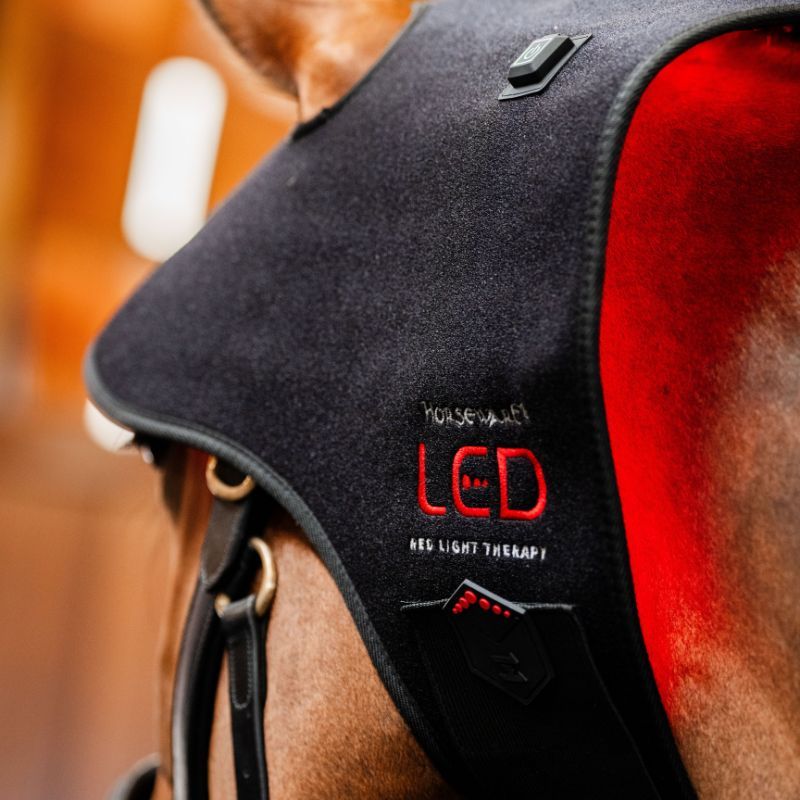 Bonnet cheval protège nuque thérapeutique luminothérapie LED Lumière Rouge Poll Cap Horseware noir - Le Paturon