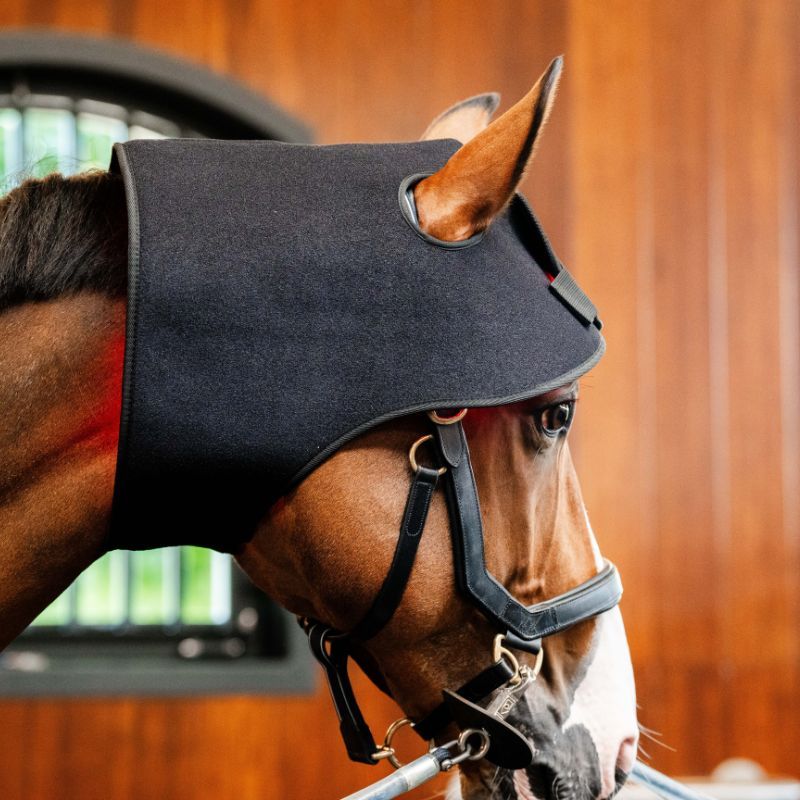 Bonnet cheval protège nuque thérapeutique luminothérapie LED Lumière Rouge Poll Cap Horseware noir - Le Paturon