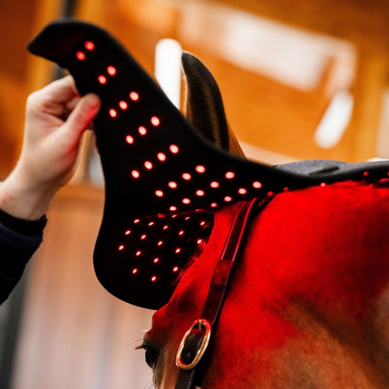 Bonnet cheval protège nuque thérapeutique luminothérapie LED Lumière Rouge Poll Cap Horseware noir - Le Paturon