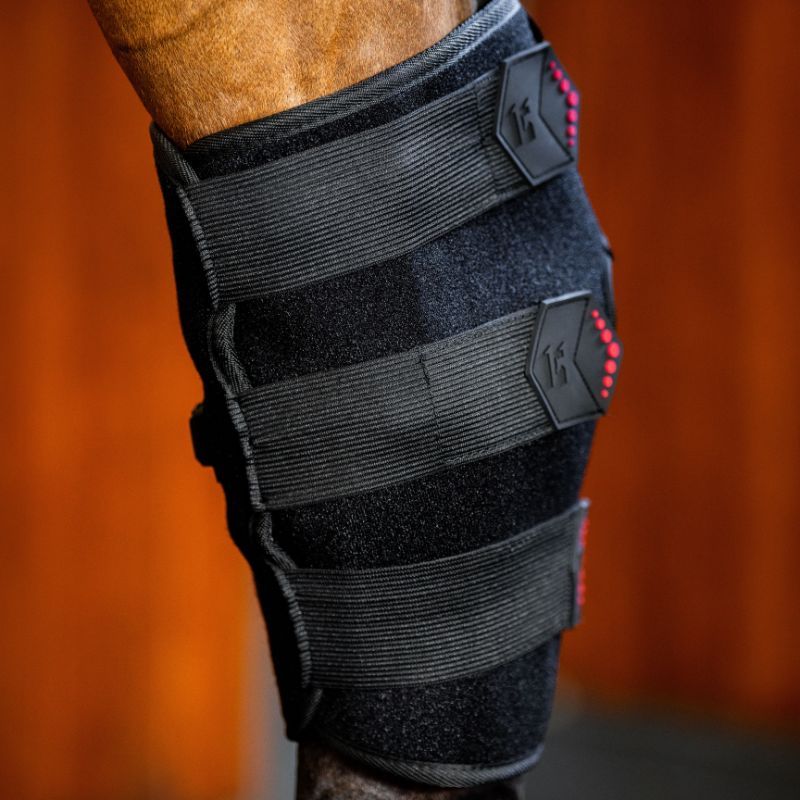 Protège-jarret cheval thérapeutique luminothérapie LED Lumière Rouge Horseware noir - Le Paturon