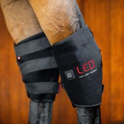 Protège-jarret cheval thérapeutique luminothérapie LED Lumière Rouge Horseware noir - Le Paturon