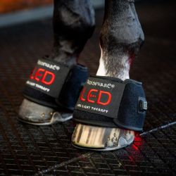 Cloche cheval thérapeutique luminothérapie LED Lumière Rouge Horseware noir - Le Paturon