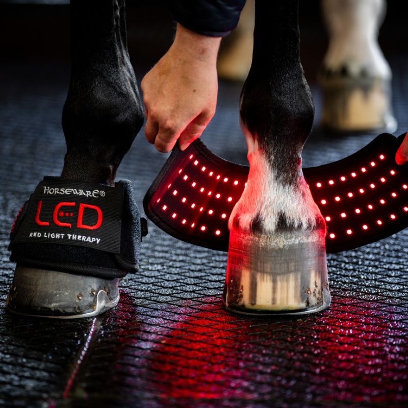 Cloche cheval thérapeutique luminothérapie LED Lumière Rouge Horseware noir - Le Paturon