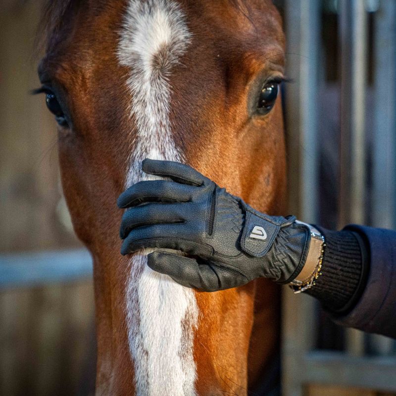 Gants équitation Classic Riding Glovers noir - Le Paturon