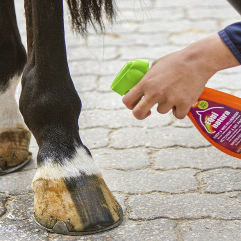 Nettoyant Equinatura pelage express - Shampoing sec cheval 500ml - Le Paturon