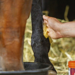 Gel réfrigérant Equinatura - Gel tendon cheval 600ml - Le Paturon