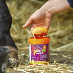 Gel réfrigérant Equinatura - Gel tendon cheval 600ml - Le Paturon