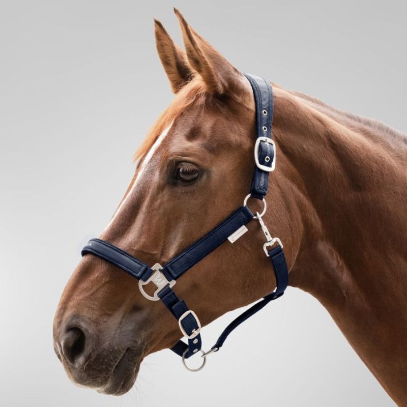 Licol cheval nylon Atheltic Waldhausen bleu pétrole - Le Paturon